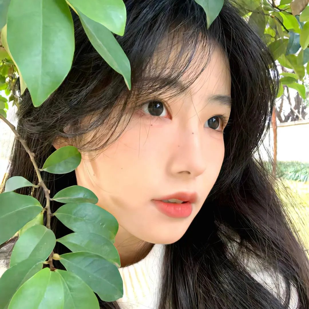 黑白道
